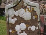 image of grave number 638018